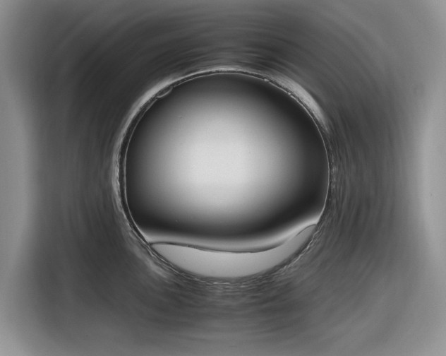 X0000116331051200912091035