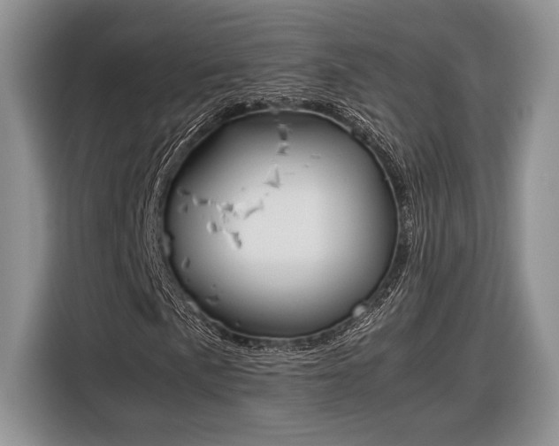 X0000116331057200912091035