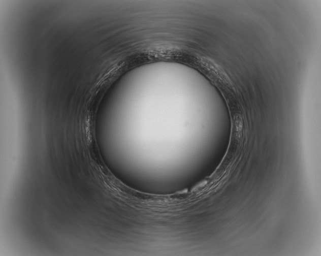 X0000116331060200912091035