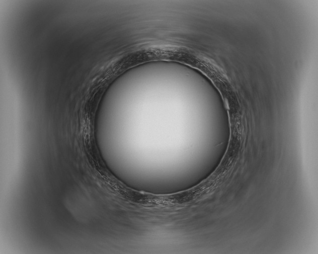X0000116331061200912091035