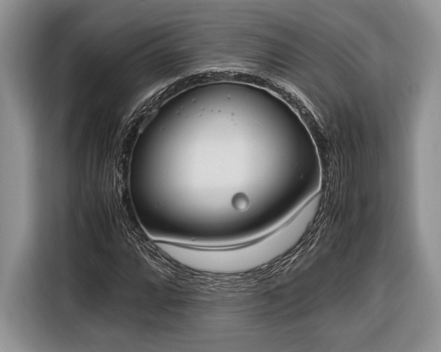 X0000116331064200912091035