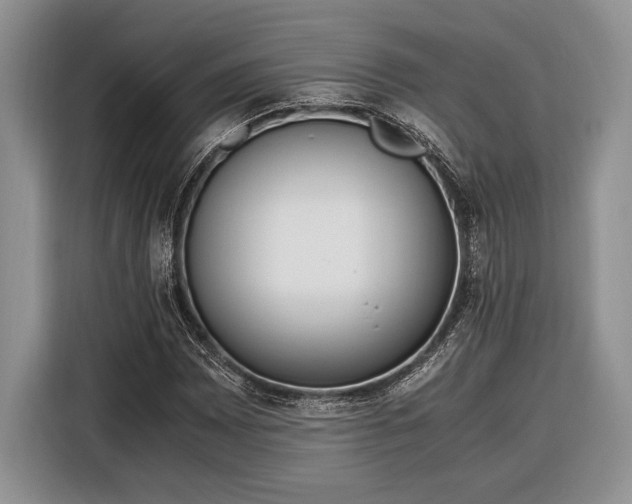 X0000116331065200912091035