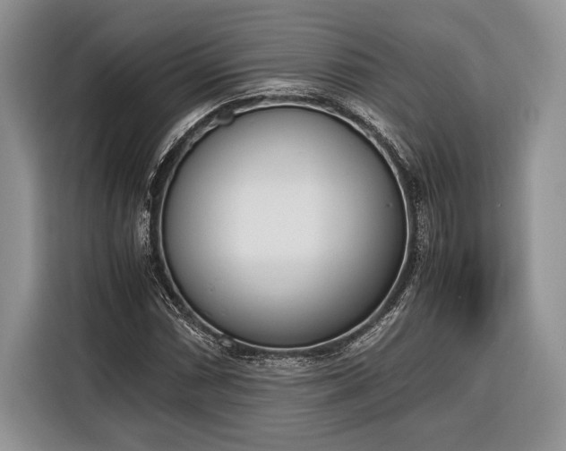 X0000116331066200912091035