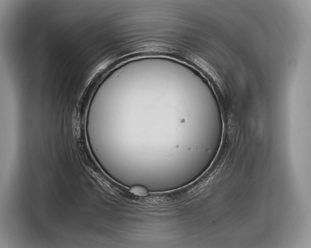 X0000116331067200912091035