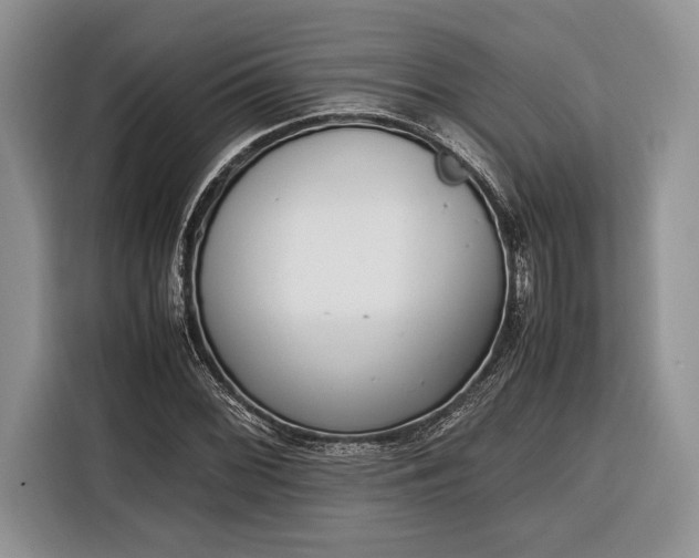 X0000116331068200912091035