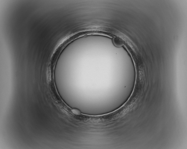 X0000116331069200912091034