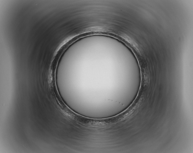 X0000116331070200912091034