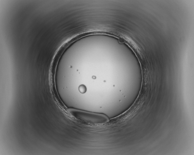 X0000116331072200912091034