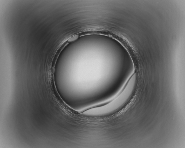 X0000116331073200912091034