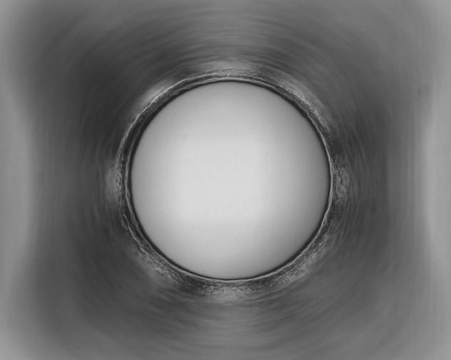 X0000116331074200912091034