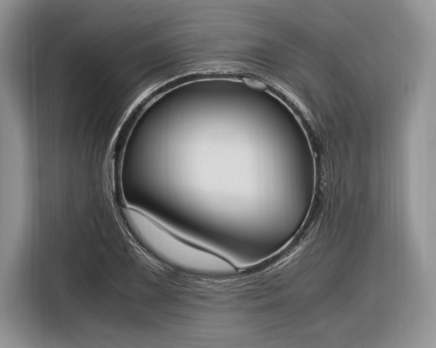 X0000116331075200912091034