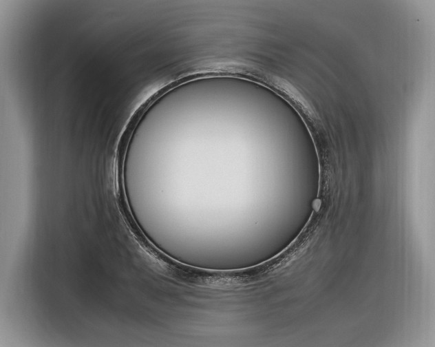 X0000116331079200912091034