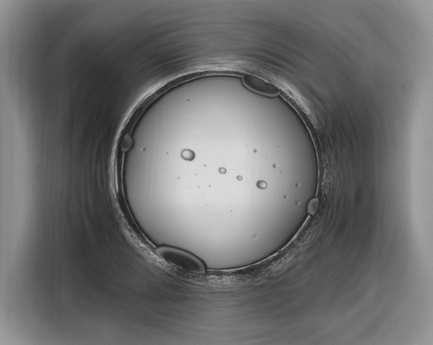 X0000116331080200912091034