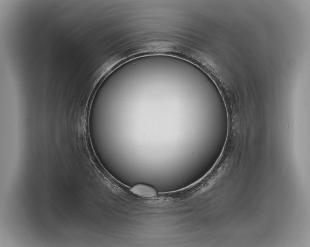 X0000116331081200912091034