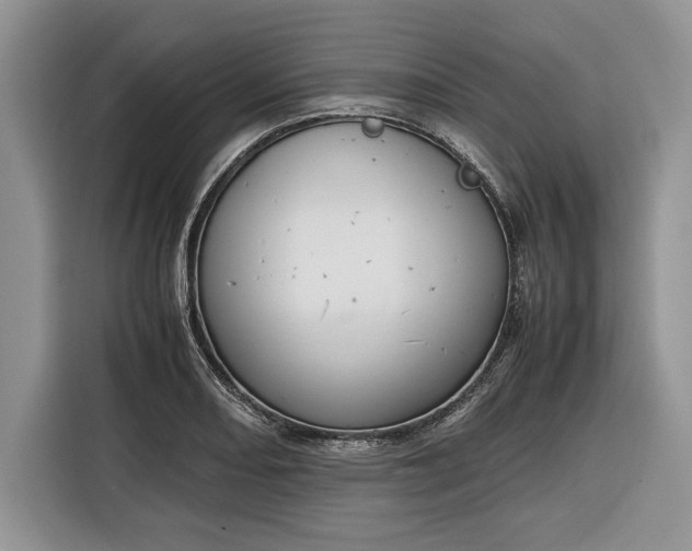X0000116331082200912091034