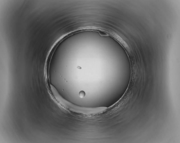 X0000116331084200912091034