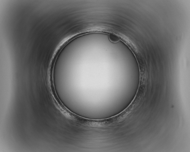 X0000116331086200912091034