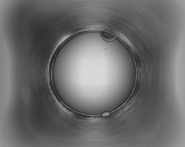 X0000116331087200912091034