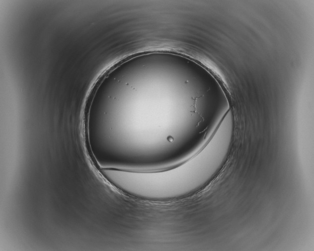 X0000116331088200912091034