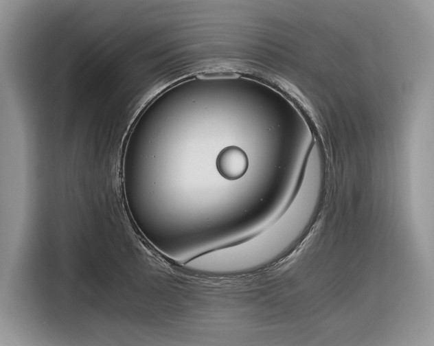 X0000116331089200912091034