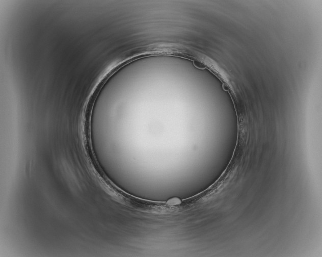 X0000116331091200912091034