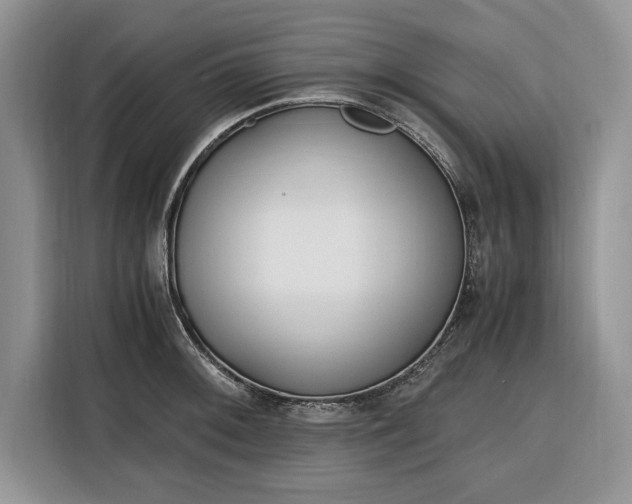 X0000116331092200912091034