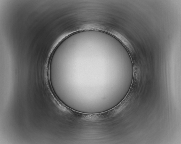 X0000116331094200912091034