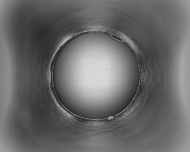 X0000116331095200912091034