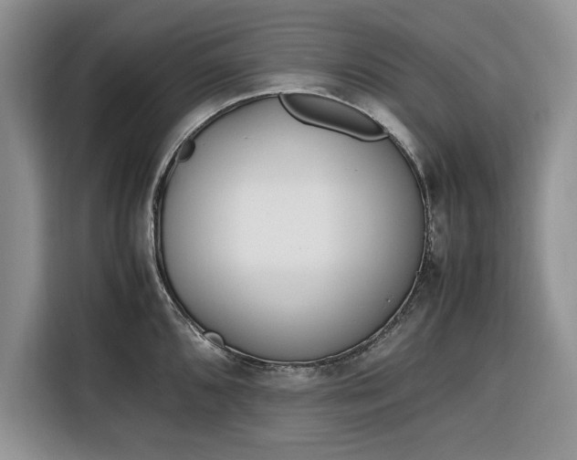 X0000116331096200912091034
