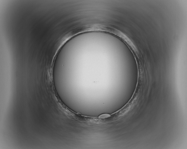 X0000116331097200912091034
