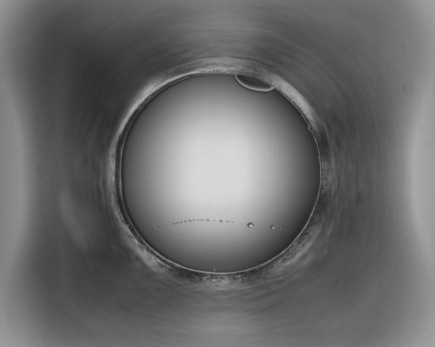 X0000116331099200912091034