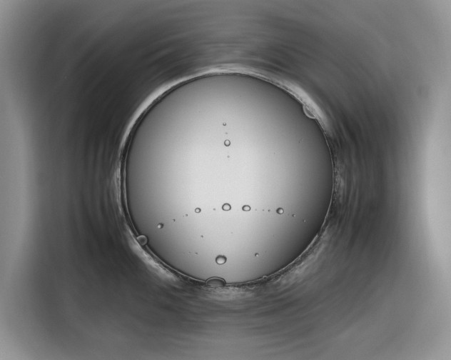 X0000116331100200912091034