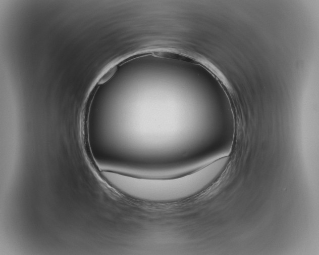 X0000116331101200912091034