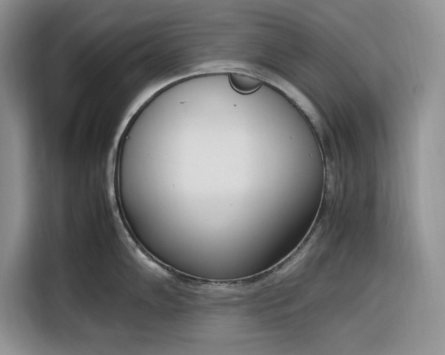 X0000116331102200912091034