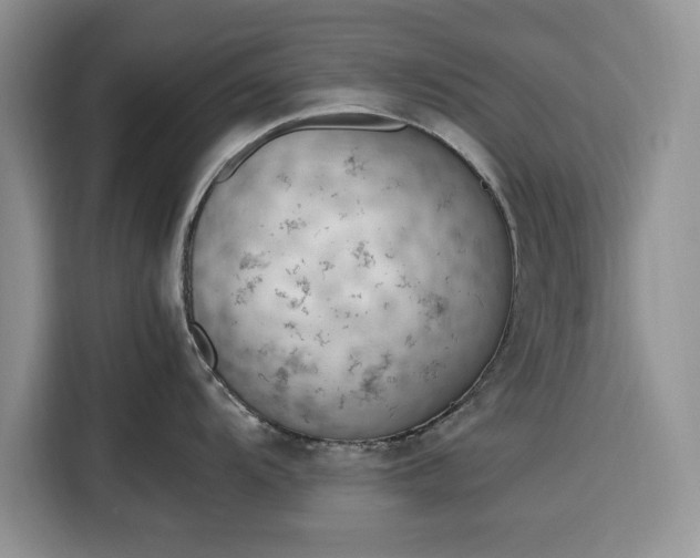 X0000116331104200912091034