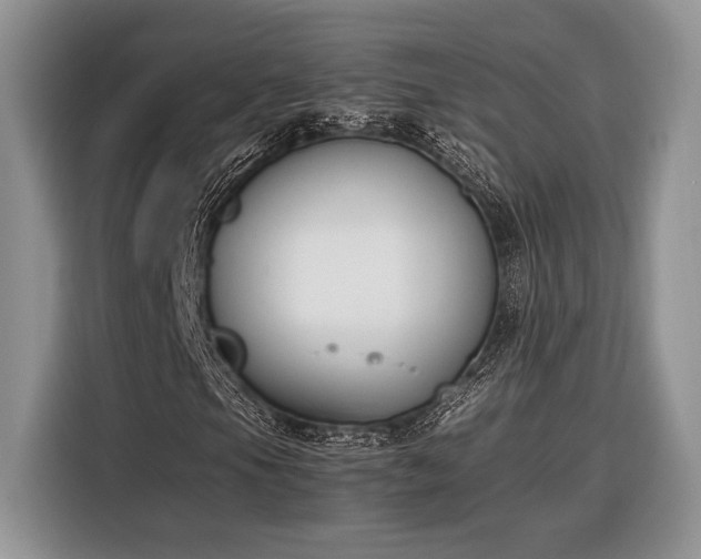 X0000116331105200912091033