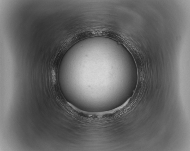 X0000116331106200912091033