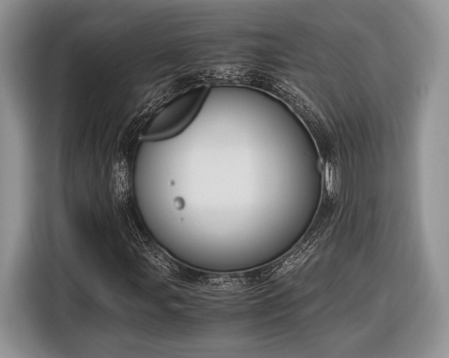 X0000116331107200912091033