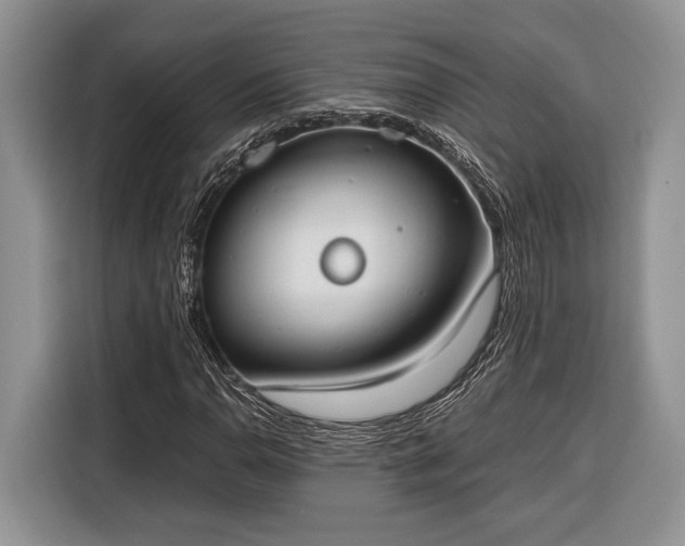 X0000116331110200912091033