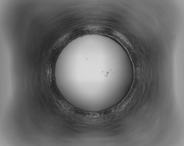 X0000116331111200912091033