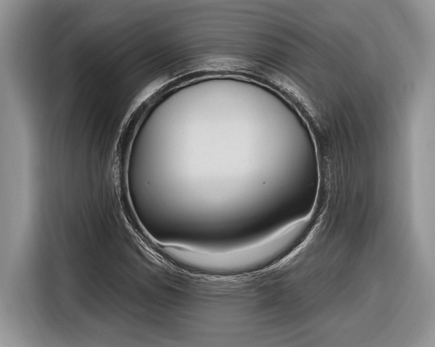 X0000116331114200912091034