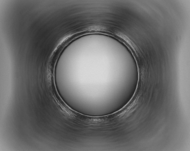 X0000116331115200912091034