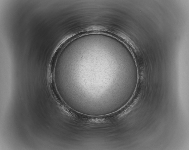X0000116331117200912091034