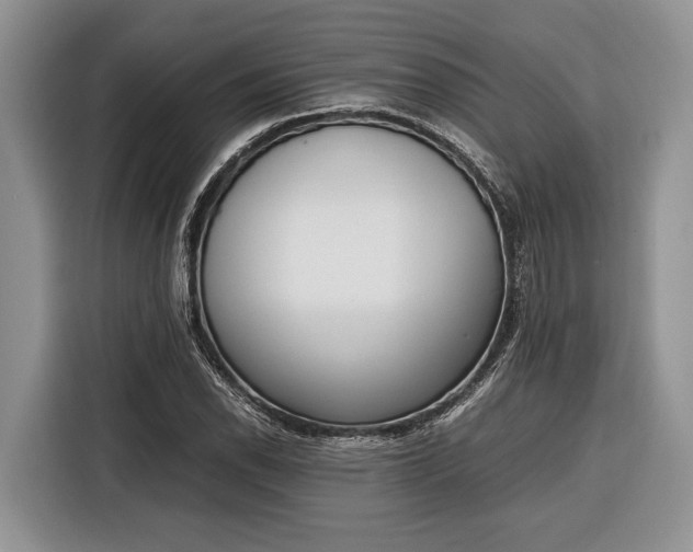 X0000116331118200912091034