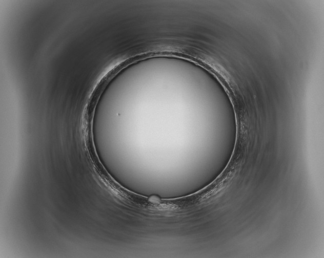 X0000116331119200912091034