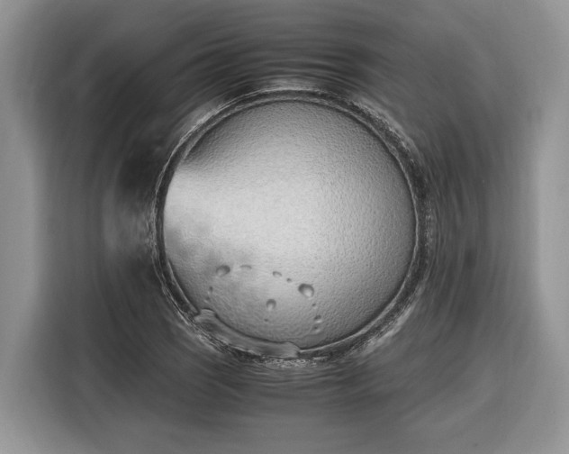 X0000116331121200912091034