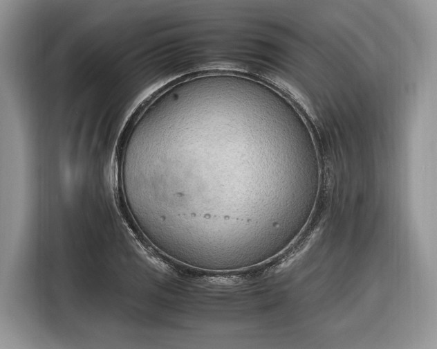 X0000116331125200912091034