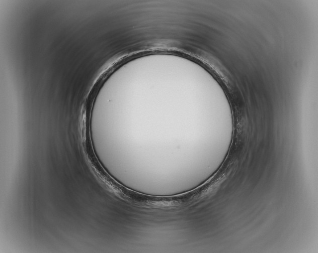 X0000116331126200912091034