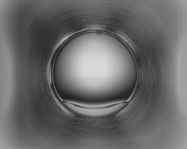 X0000116331127200912091034