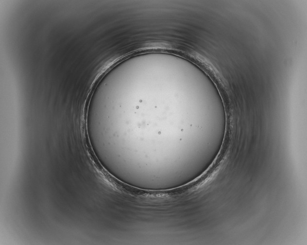 X0000116331129200912091034